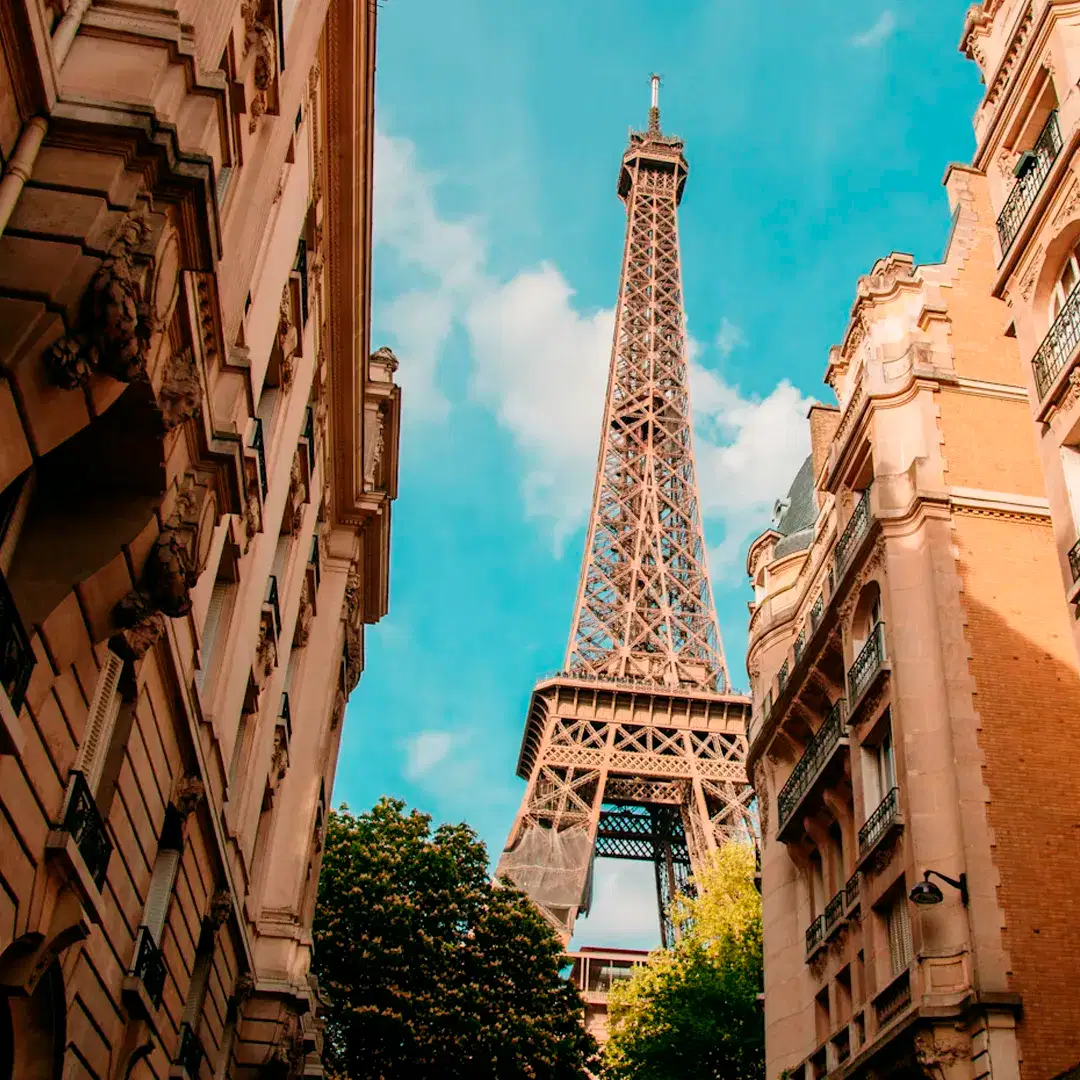 17 Días por Madrid, París, Roma y Venecia