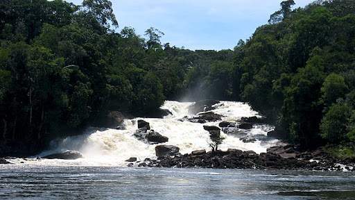 Amazonas