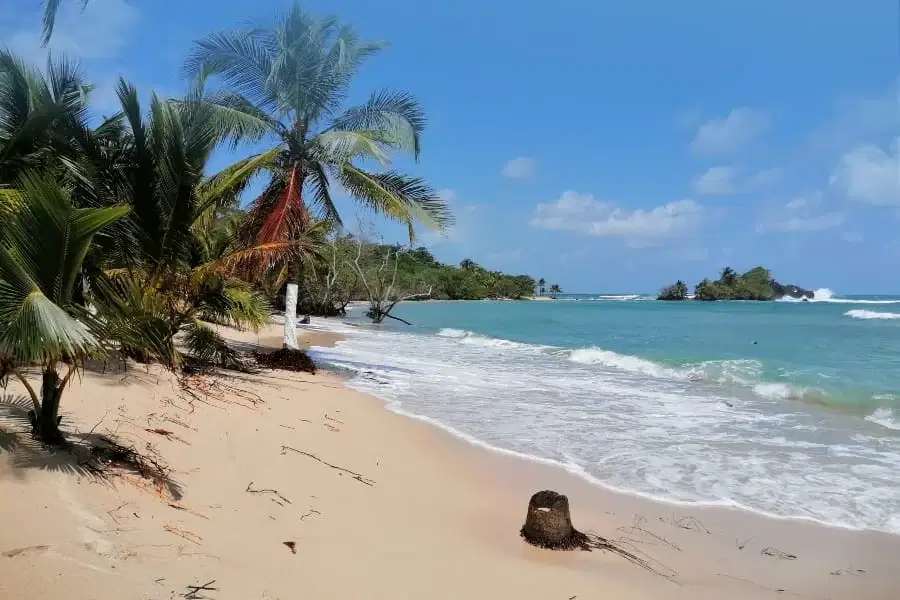 ¿Cuándo ir a Nuquí, Chocó, y cuánto cuesta el viaje desde Medellín?